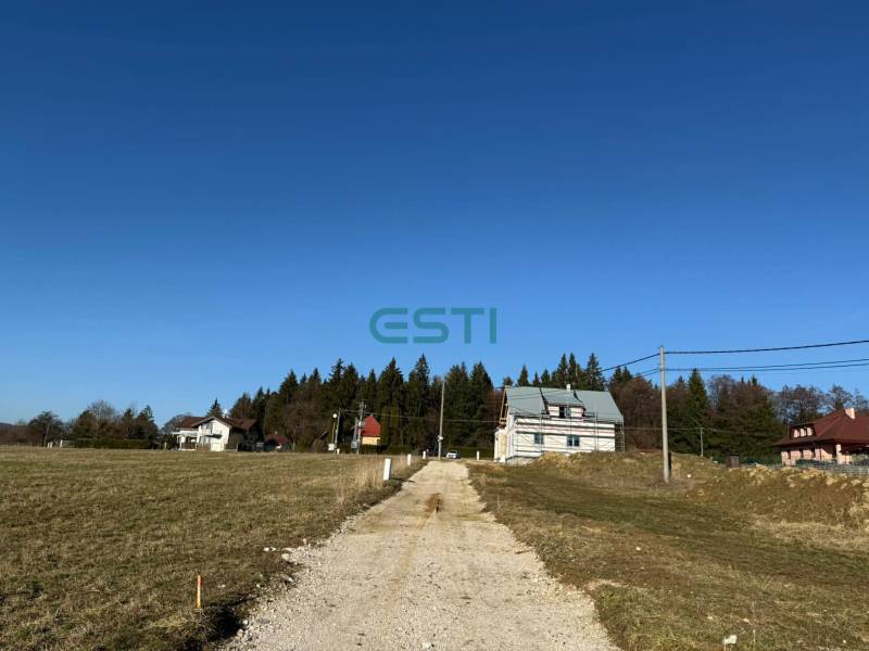 Asphalt road between residential plots, Stránske, Borie.