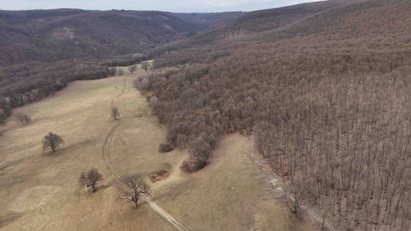 Hilly landscape around Príbelce with a mix of forests and agricultural land.