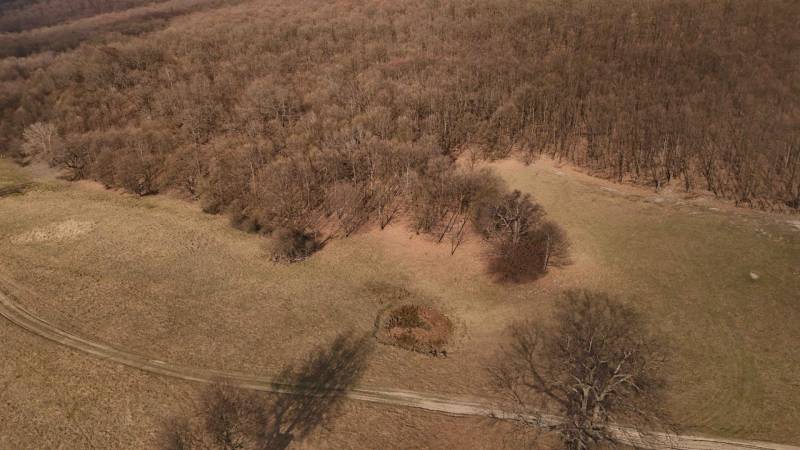 Fields and agricultural land in Príbelce include fields, forest, and roads.