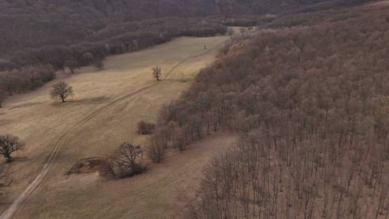 Autumn landscape of agricultural and forest land around Príbelce with road tracks.