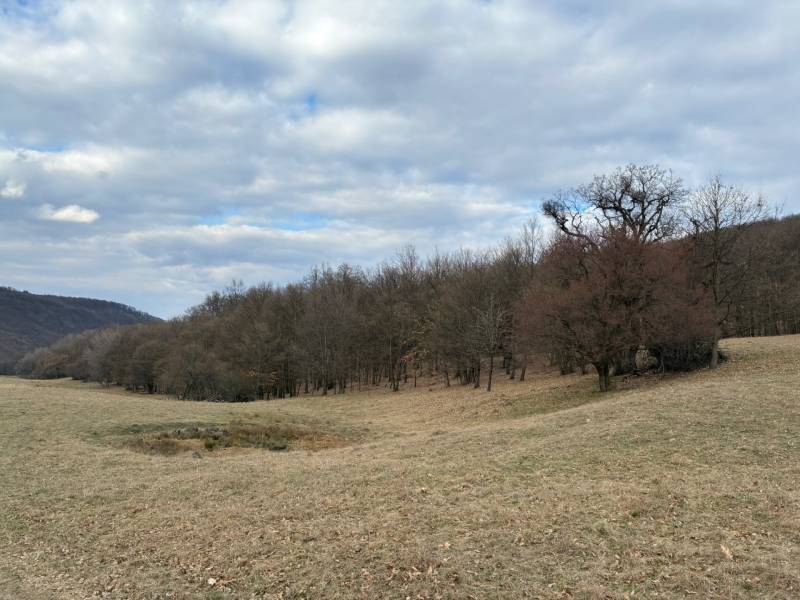 Agricultural and forest lands in Príbelce with bare trees and a cloudy sky.