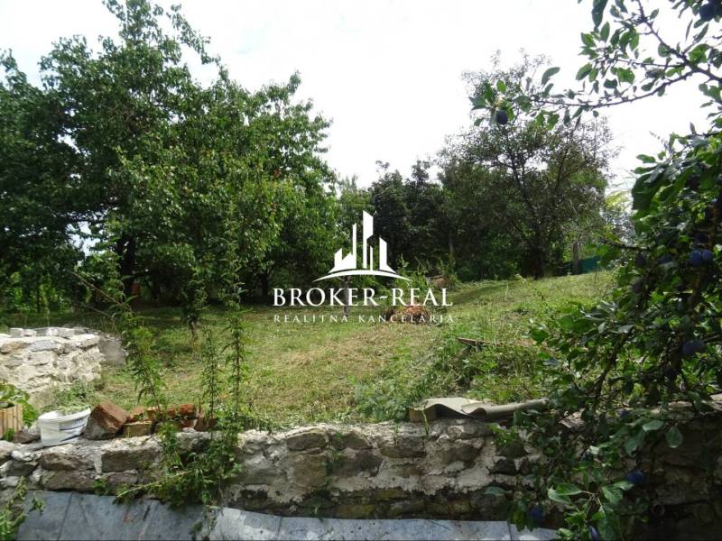 A garden by a family house in Goncruszka with old trees and a stone wall.