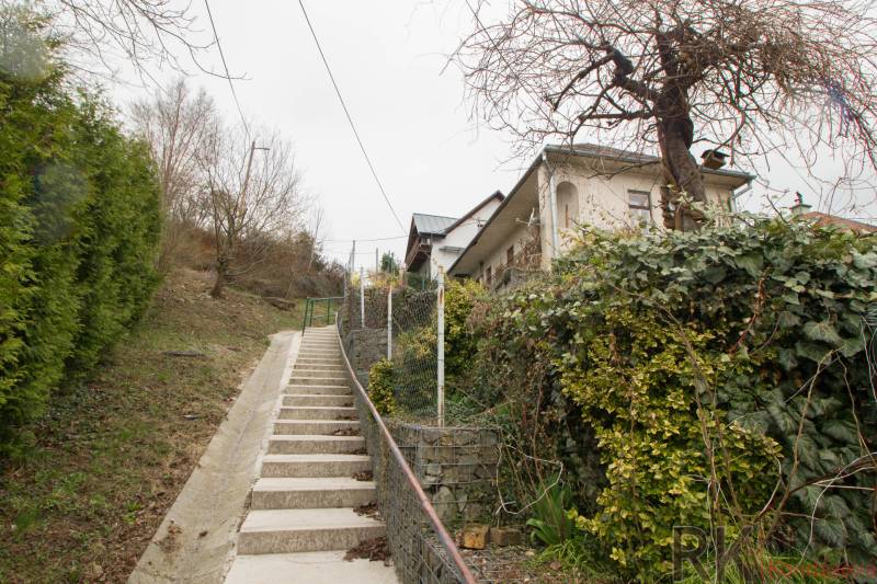 A family house in Kostoľany nad Hornádom with a path, covered with ivy and a retaining wall.
