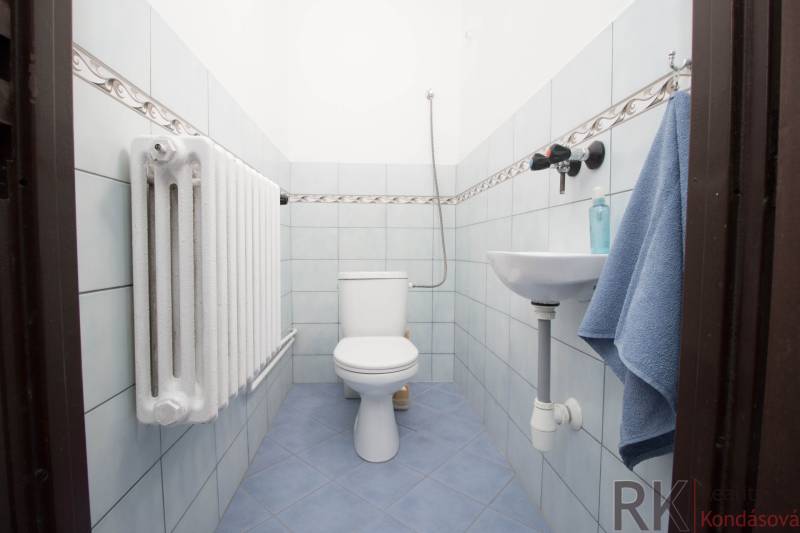 A bathroom with blue tiles, a toilet, and a sink in a family house.