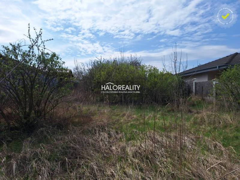 Plots - housing in Dvorníky with shrubs and grassy area, ideal for construction.
