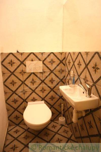 A bathroom in a family house with a sink and a toilet with decorative tiles.