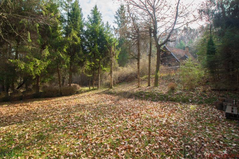 Autumn landscape of Recreational Grounds in Holčíkovce full of colorful leaves and trees.