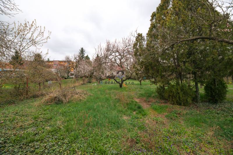 A garden surrounding a family house on Zelenečská Street in Trnava with fruit trees.