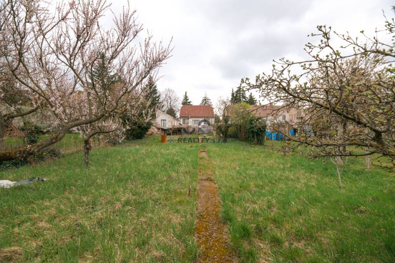 Front yard with fruit trees at a family house on Zelenečská Street in Trnava.