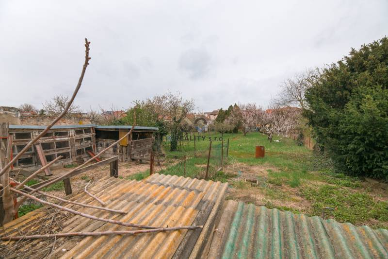 A garden with a shed and trees behind a family house on Zelenečská Street in Trnava.