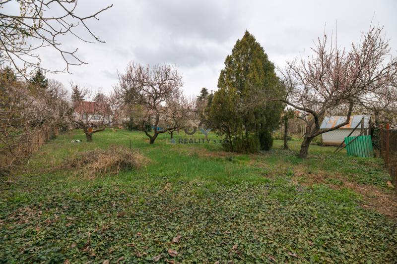 A garden with grass and trees next to a family house on Zelenečská Street in Trnava.