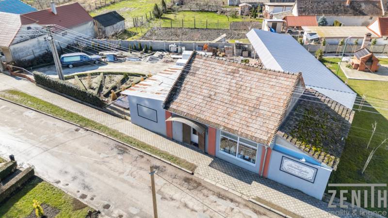 Commercial premises in Okoč with a traditional roof, walkway, and garden.