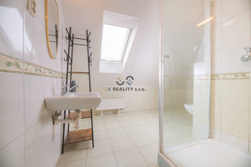 Bathroom with a shower and a skylight in a 2-room apartment.