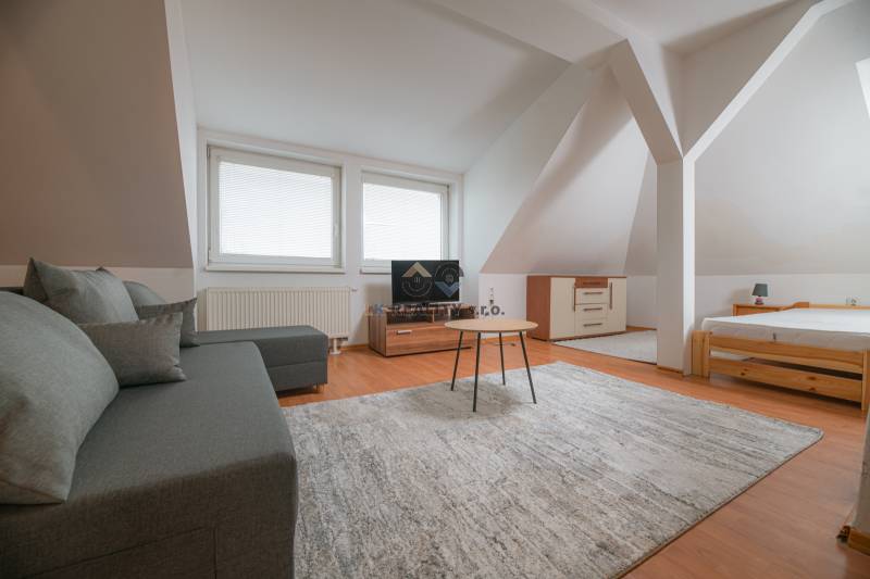 Attic room in a 2-room apartment with a sofa, carpet, and wooden decor flooring.