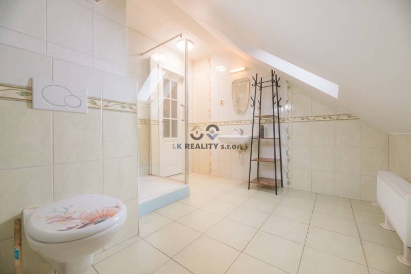 Bathroom with toilet, shower, and sink in a 2-room apartment with an attic.