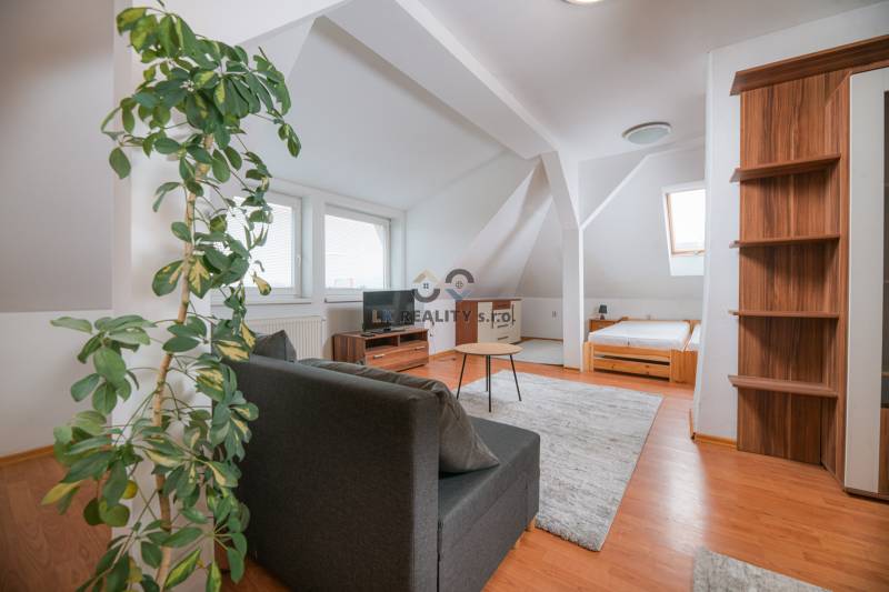 Attic 2-room apartment with a sofa, bed, and wooden decor flooring.