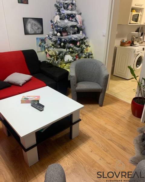 Living room with a Christmas tree, sofa, coffee table, and wood-patterned flooring in a two-room apartment.