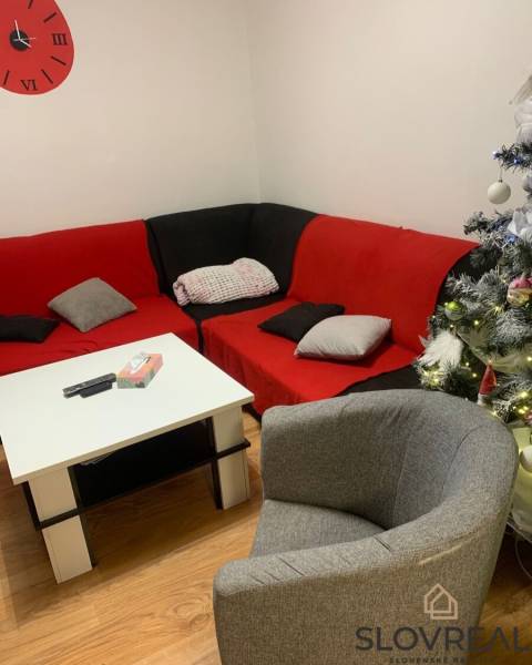 Living room in a two-room apartment with upholstered furniture and Christmas decorations.