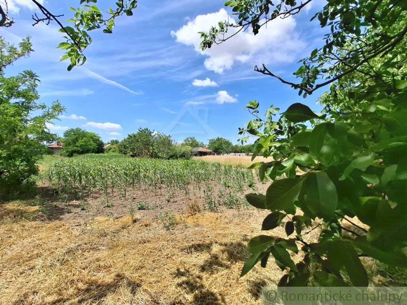 Nature in the Gardens of the Stone Bridge with a field under the blue sky and white clouds.
