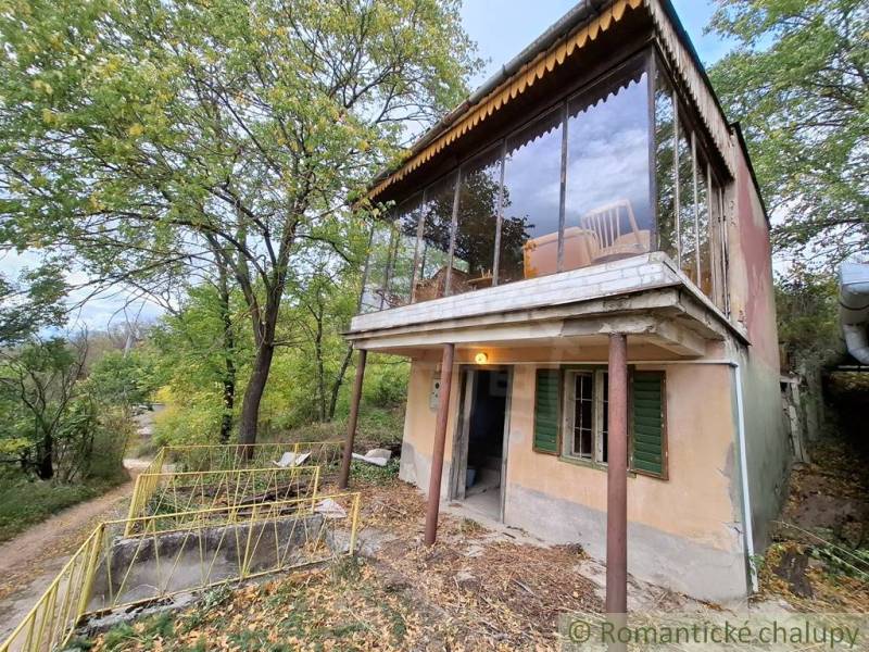A cottage in Kamenín surrounded by greenery, with a glass terrace and a driveway.