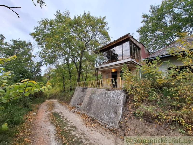 A cottage in Kamenín with a glass floor, surrounded by trees and a forest path.