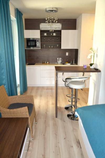 Studio apartment with wood-patterned flooring, a kitchenette, and a bar counter.
