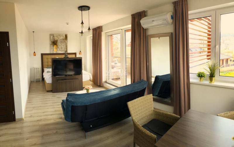 Bright 2-room apartment with wood-patterned flooring, a sofa, and large windows.