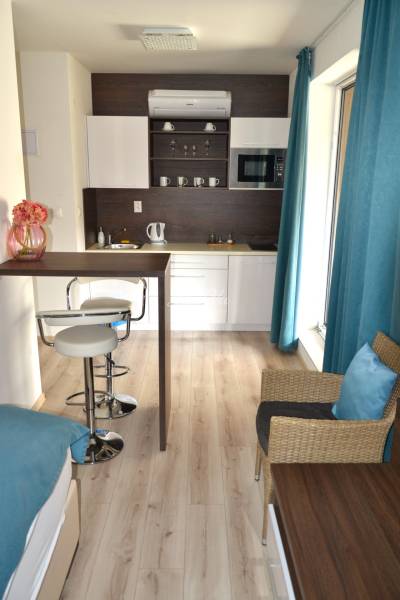 A kitchen in a 2-room apartment with a bar counter and a wooden decor floor.