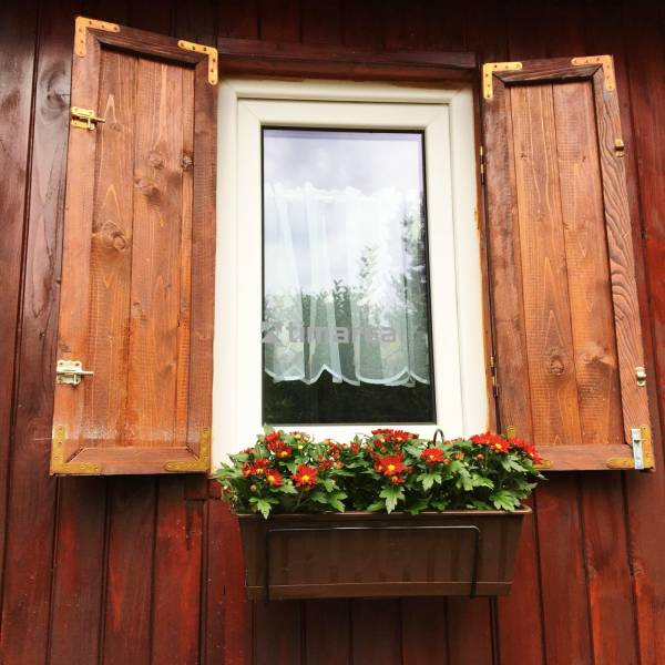 A window of a family house in Bohdanovce nad Trnavou with shutters and a flowerpot with red flowers.