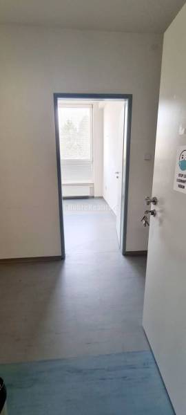 Office interior with white walls, wood-patterned flooring, and a door with a window.