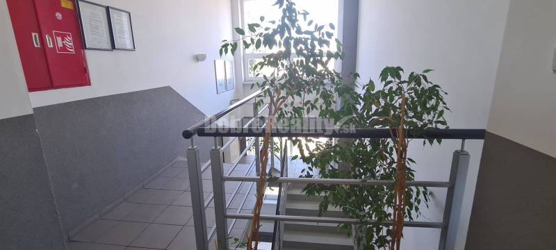 Offices with plants and a staircase, walls decorated with paintings and a fire extinguisher.