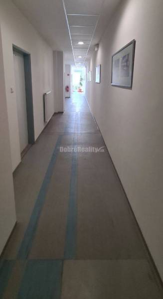 A long corridor with white walls, ceiling lights, and pictures in the offices.