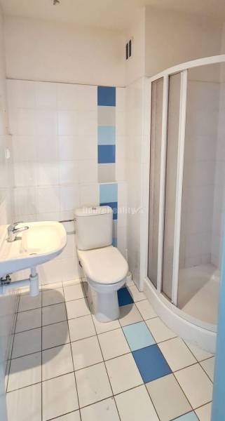 Bathroom with toilet, shower, and sink in the office.