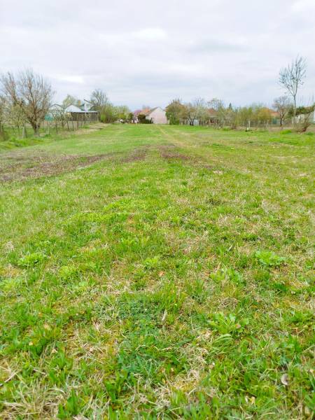 A green residential plot in Horná Kráľová, with visible trees and houses in the distance.