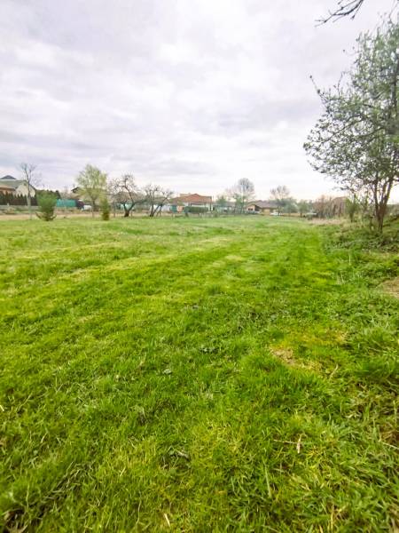 A green residential plot in Horná Kráľová surrounded by nature and trees.