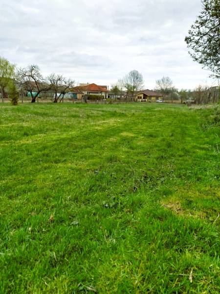 Greenery and houses in Horné Kráľová, suitable for residential plots.