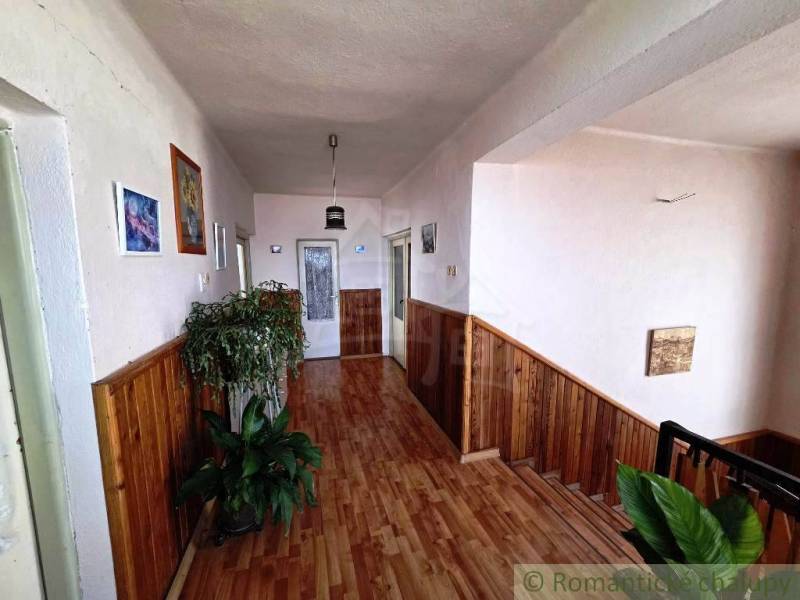 A hallway with a wooden decor floor in a family house, decorated with plants and paintings.