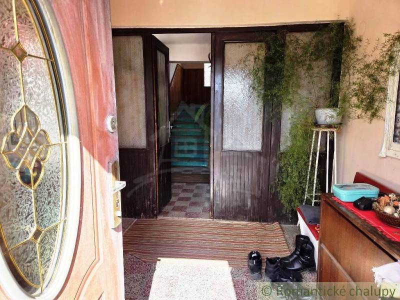 Entrance hallway of a family house with a shoe cabinet and houseplants.