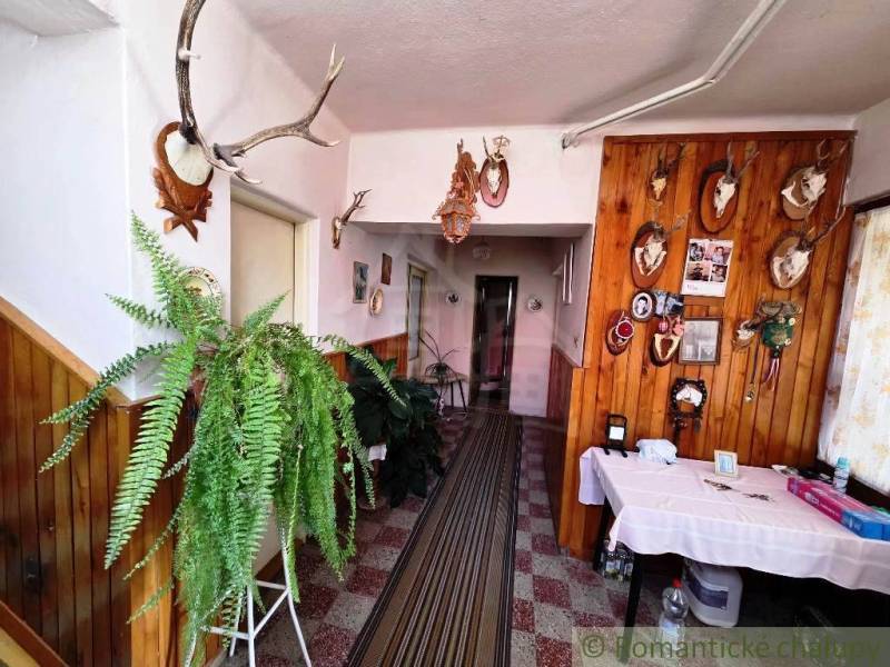 The interior of a family house with hunting trophies and ferns in a decorative style.