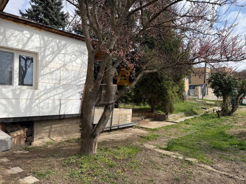 A family house in Podkerepušky in Záhorská Bystrica, surrounded by trees and a green lawn.