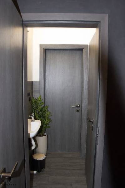 Interior with a sink, plant, and doors, floor with wood decor in a gastro space.