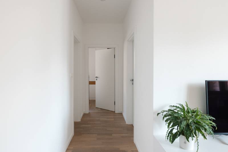 White interior hallway with wood-patterned flooring and a plant next to the television.