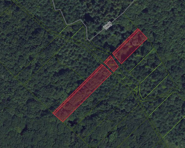 Aerial view of agricultural and forest land around Zlatníky, marked with red lines.