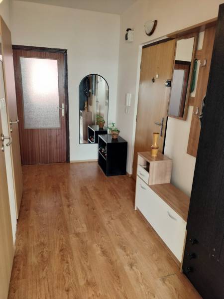 A hallway of a 3-room apartment with a wooden decor floor and a coat rack wall.