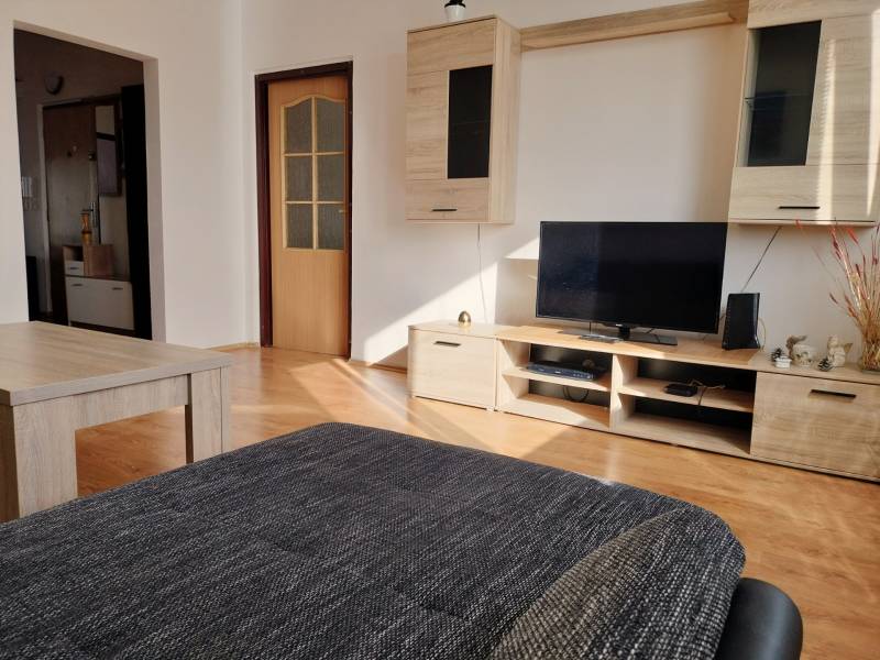 Living room in a 3-room apartment with a wooden decor floor, television, and furniture.