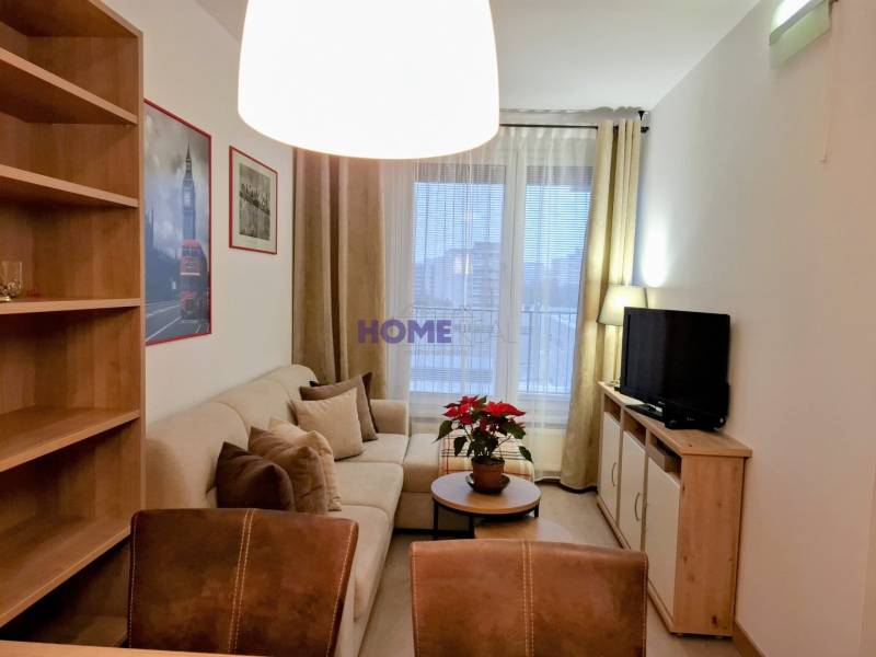 Living room in a two-room apartment with a comfortable sofa and shelves.