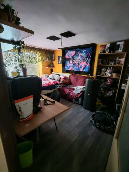 A room in a family house with colorful decorations and a wooden-patterned floor.