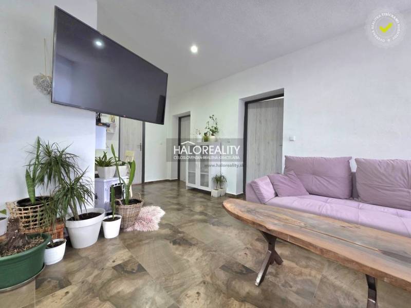 Living room with a television, plants, and a wooden decor floor in a family house.