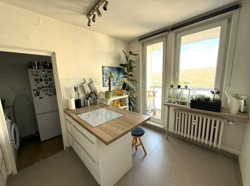 A kitchen with an island, plants, and a large window in a three-room apartment.
