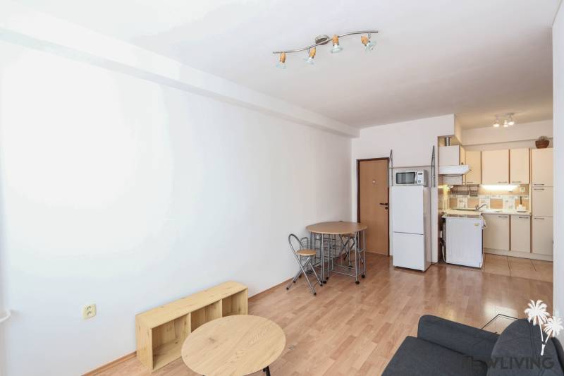 Bright 2-room apartment with wood-decor flooring, kitchen, and dining table.